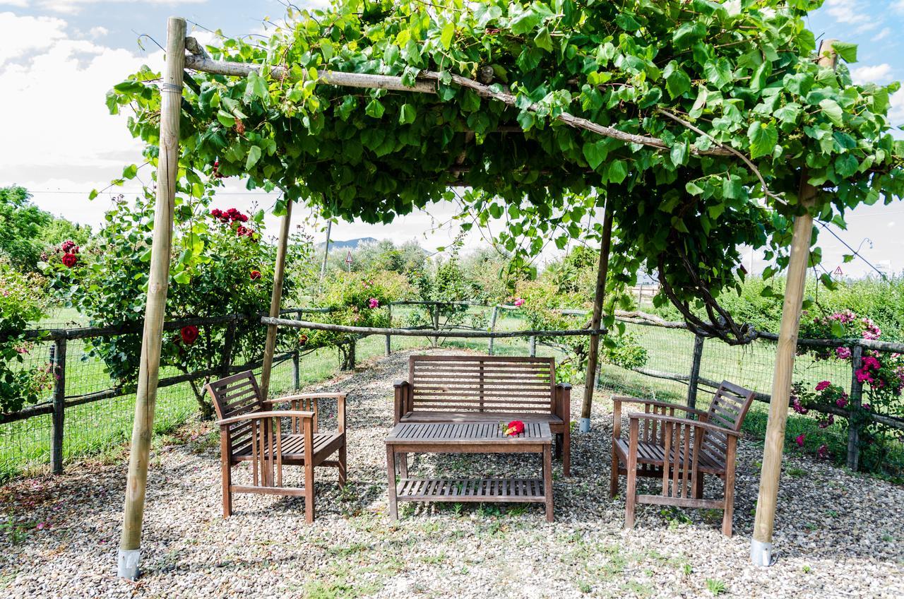Agriturismo Il Roseto Marina di Grosseto Extérieur photo